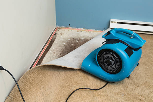 Best Ceiling water damage repair  in Stigler, OK
